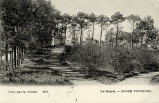 15218 Gezicht in een bos met naaldbomen en struiken te Lage Vuursche (gemeente Baarn); met op de achtergrond een koepeltje.